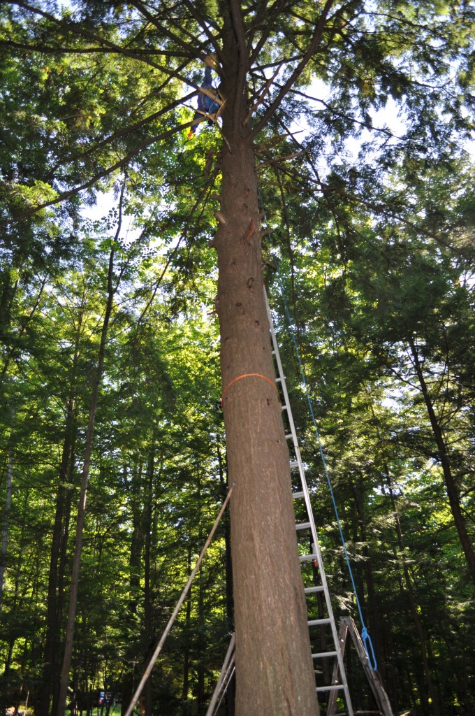 grandpa hanging pulley