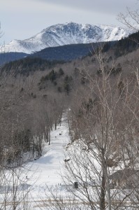 Race up Mt Washington