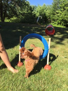 Dollar store tire jump