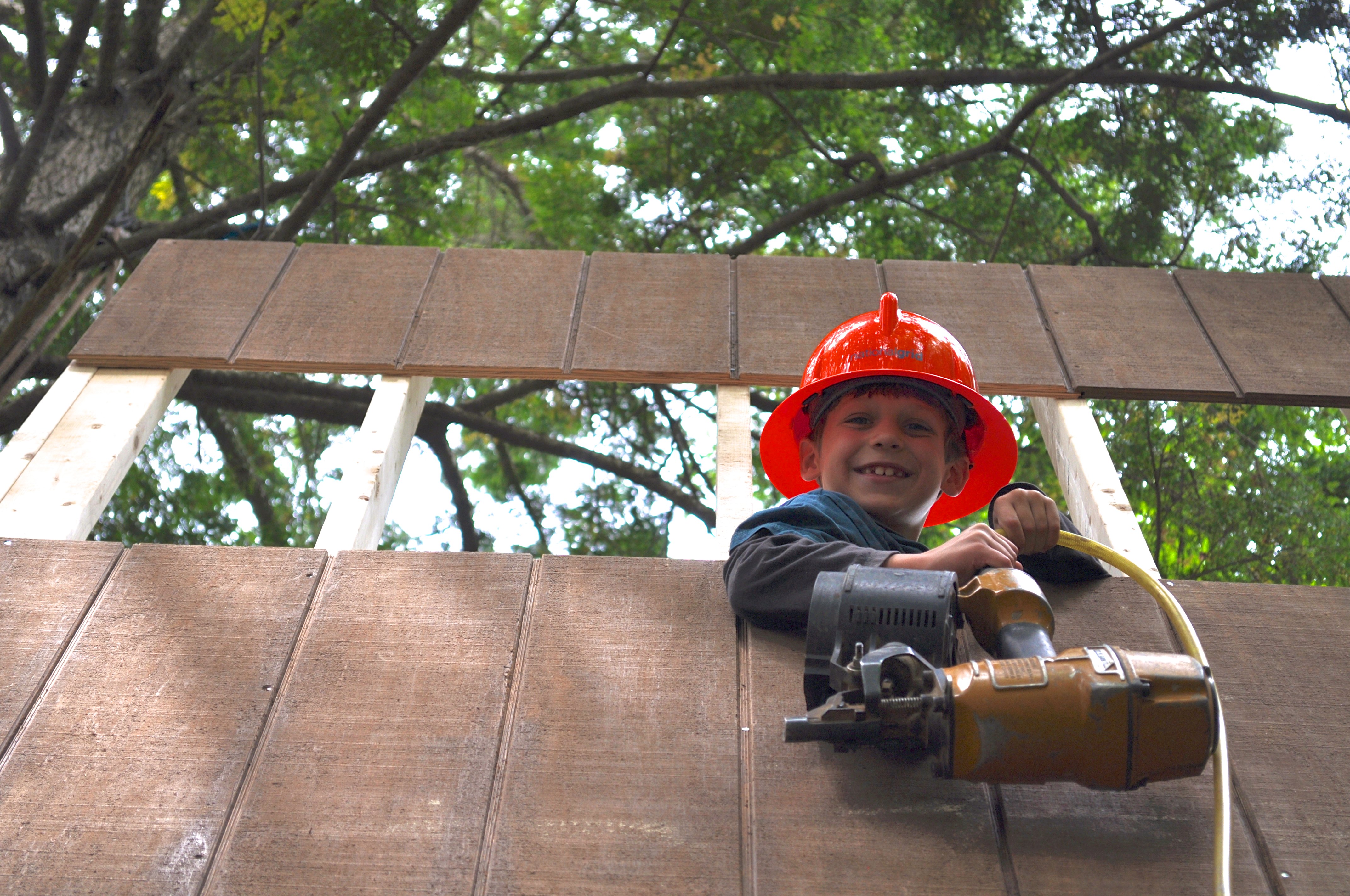 Treehouse Update