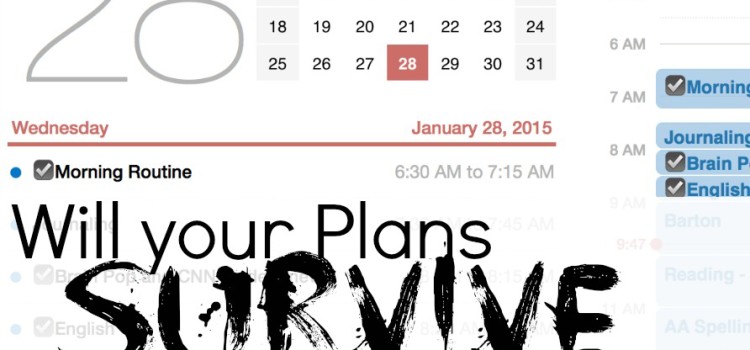 Will your Plans Survive February?