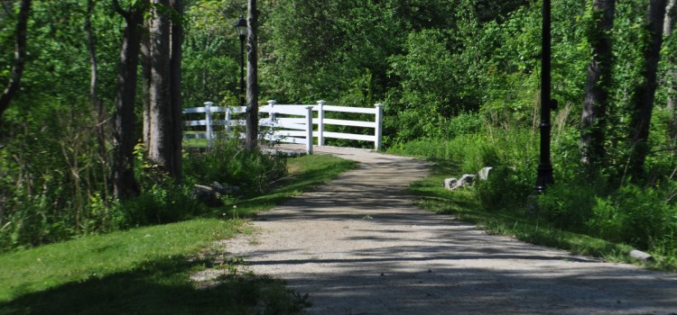 Quiet Pond – Liberty Hill House