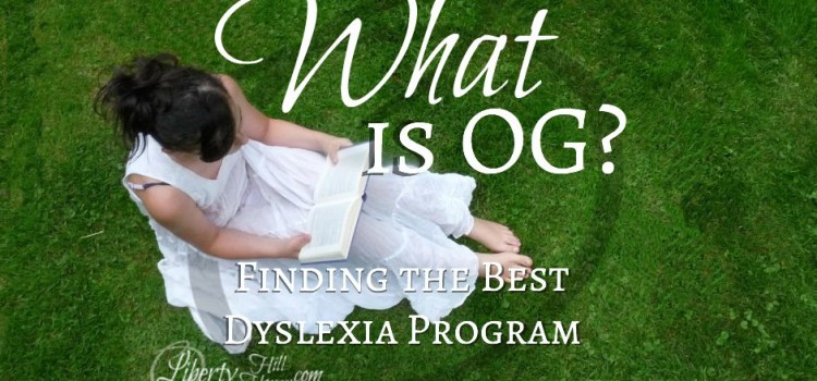 What is OG Dyslexia Remediation?